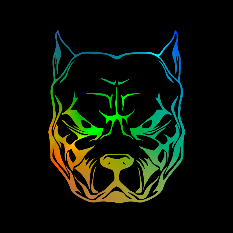 Motorcycle Sticker dog pattern – обзор и цена Motorcycle Gear For Dogs