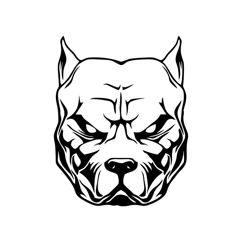 Motorcycle Sticker dog pattern – обзор и цена Motorcycle Gear For Dogs
