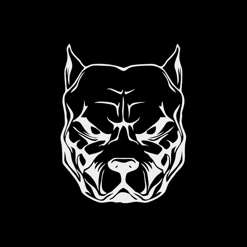 Motorcycle Sticker dog pattern – обзор и цена Motorcycle Gear For Dogs