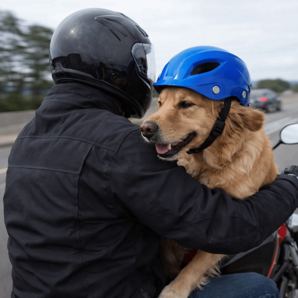 Pet Headgear Adjustable Dog He – обзор и цена Motorcycle Gear For Dogs