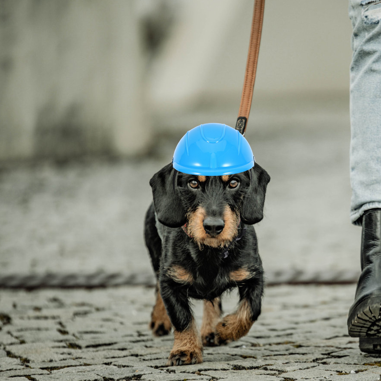 Small Dog Adjustable Pet Safet – обзор и цена Motorcycle Gear For Dogs